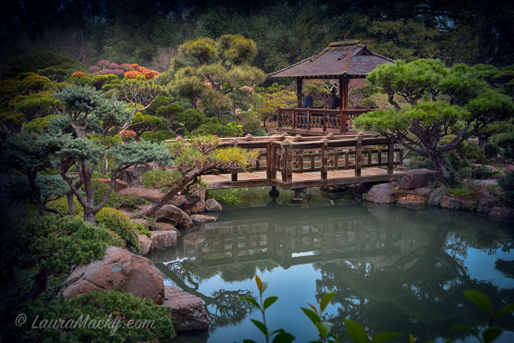 Hayward Japanese Tea Garden Laura Macky Photography